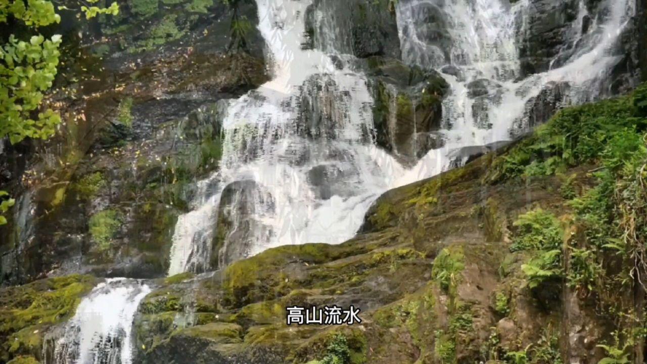 了解江西一偏瘫奶奶用米代替手码牌,你如何看待这位奶奶的生活方式?最新动态,一站式红迪网平台分享