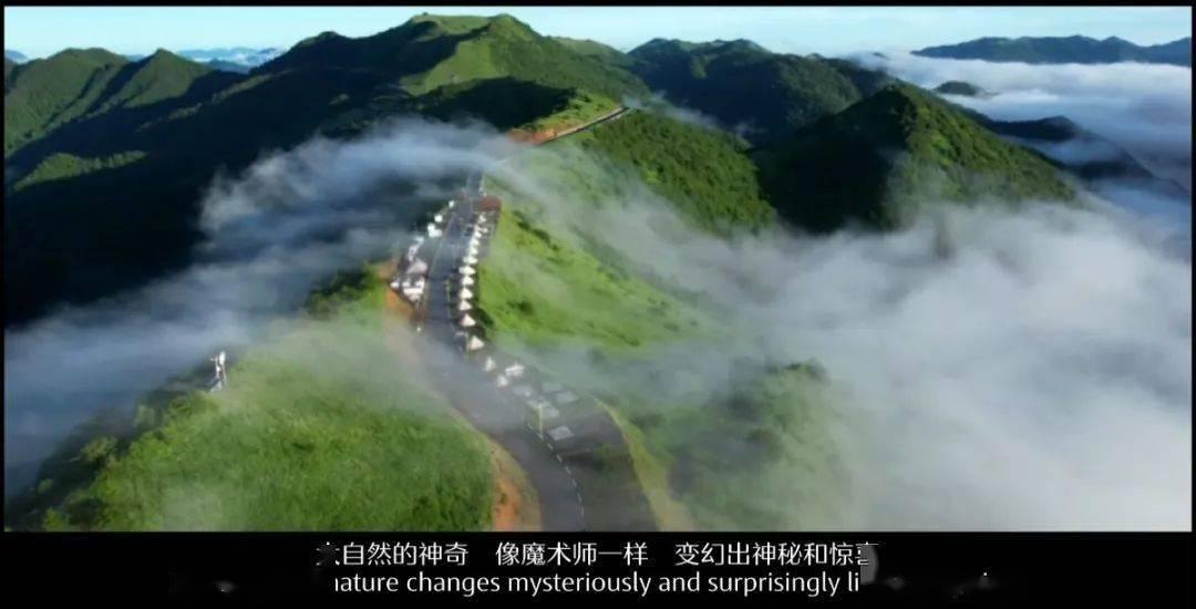 “醯”是什么字？